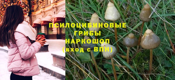 ПСИЛОЦИБИНОВЫЕ ГРИБЫ Инсар
