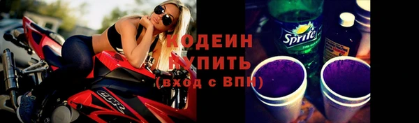 метадон Инта