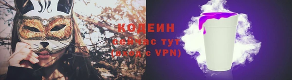 метадон Инта